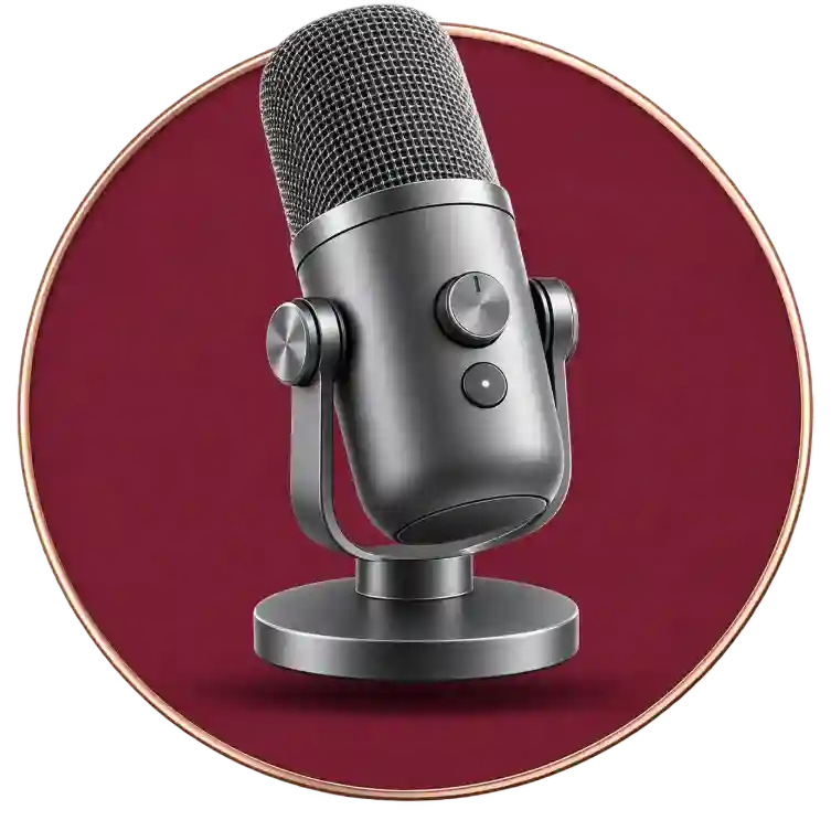 Audio Accessories