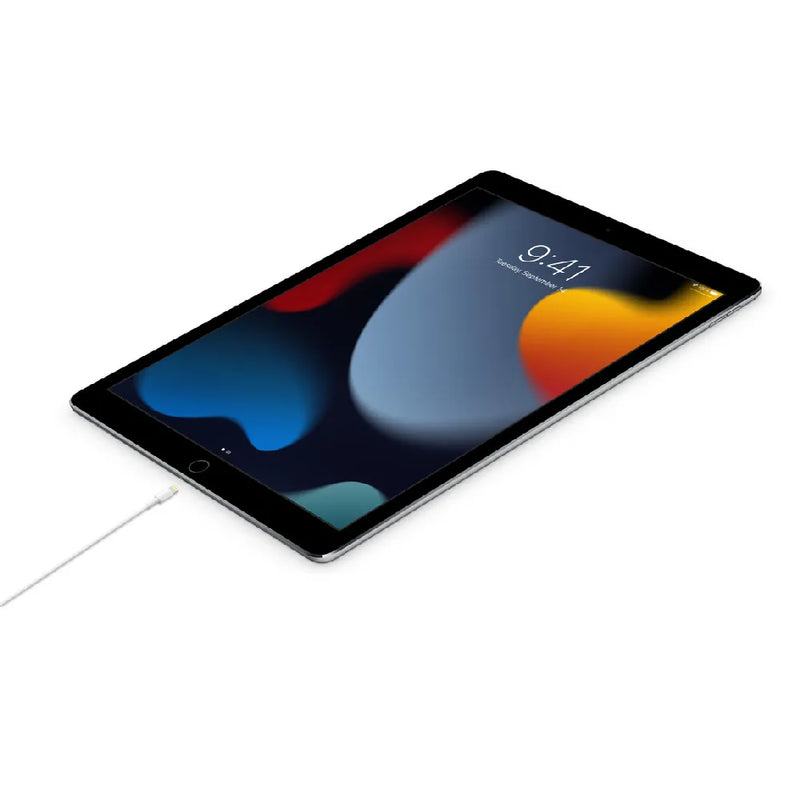 Apple Lightning to USB-C Cable 1M