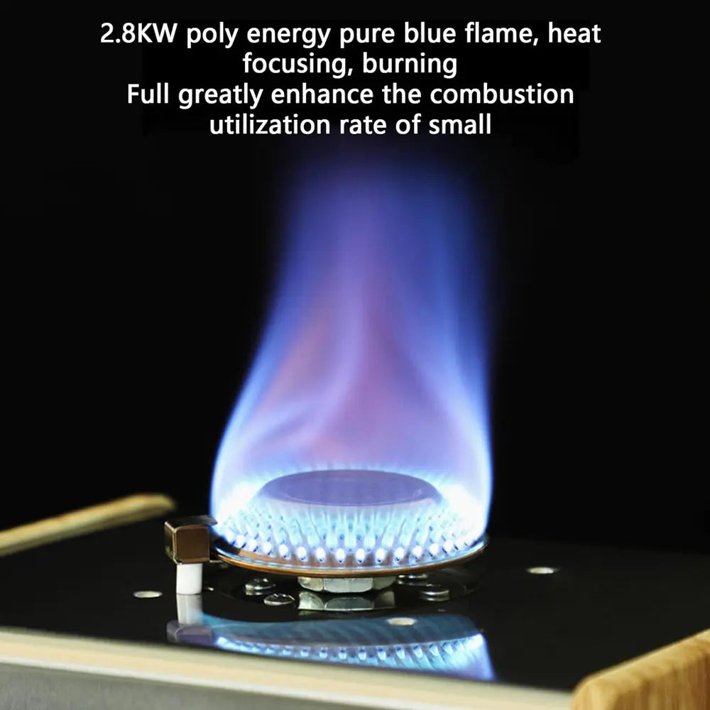 Portable Camping Single Burner Gas Stove
