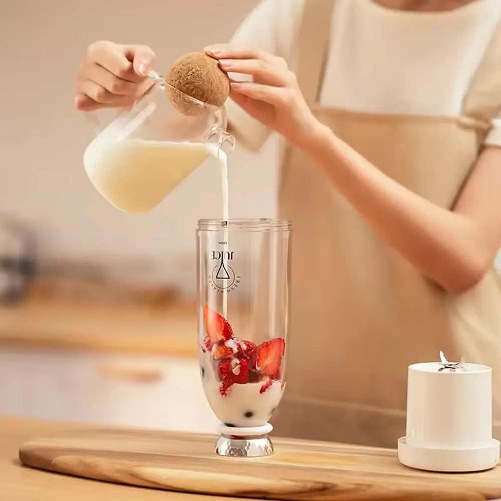 Portable Mini Fruit Blender-350ml