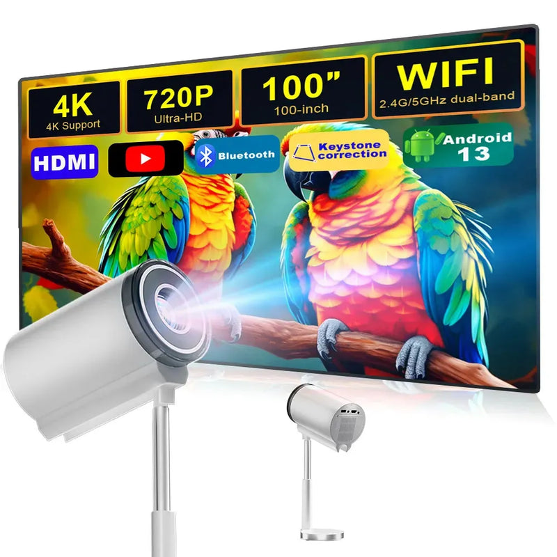 4K Portable Mini Projector -120''