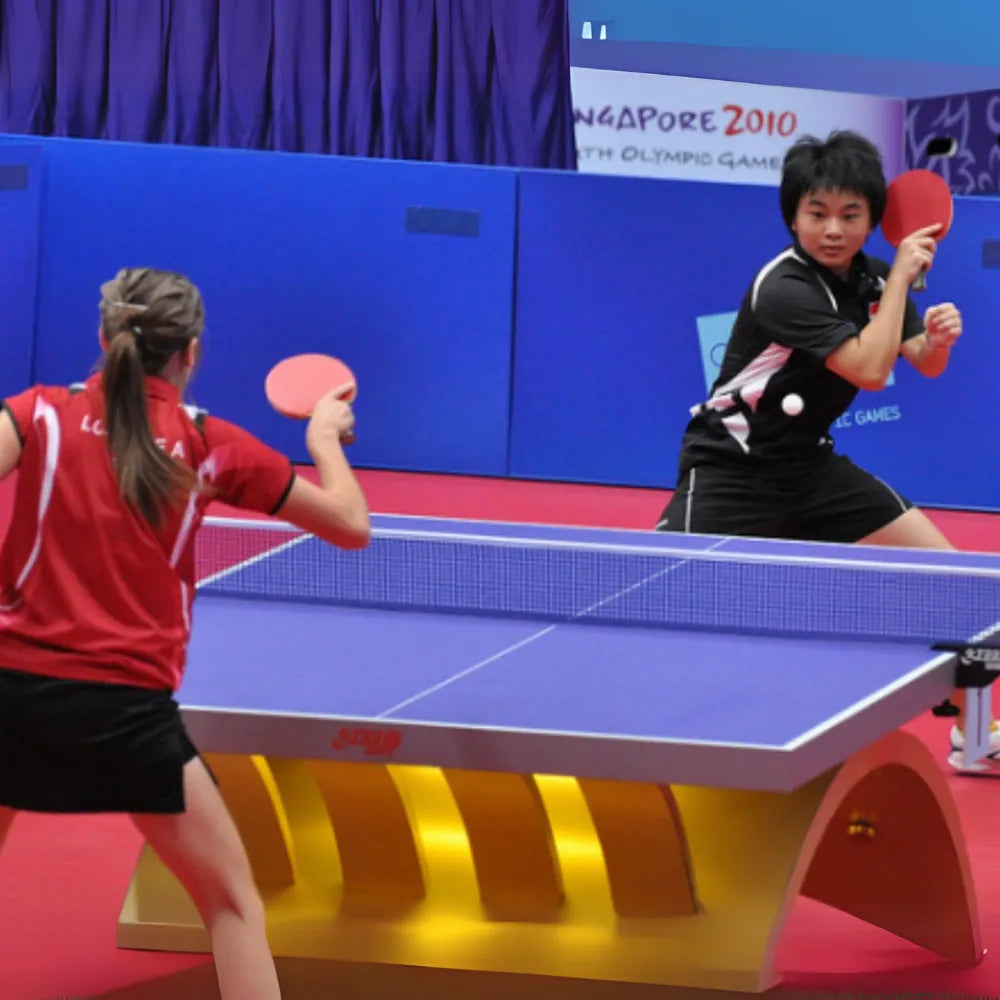 Weinixun Table Tennis Set, 4 Bats + 6 Balls + Net, Durable Design, Portable Carry Bag