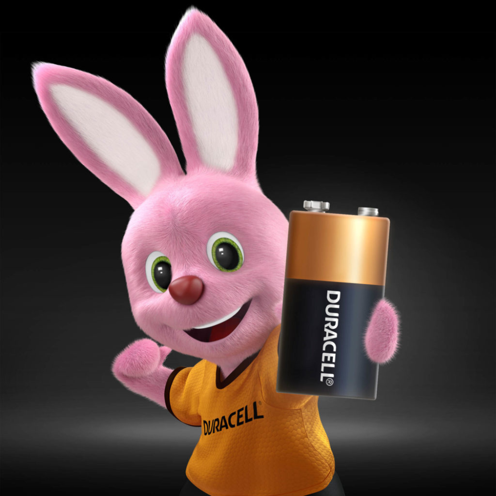 Duracell Alkaline 9V Batteries 2-Pack with Duralock Technology for Long-Lasting Power in Everyday Devices
