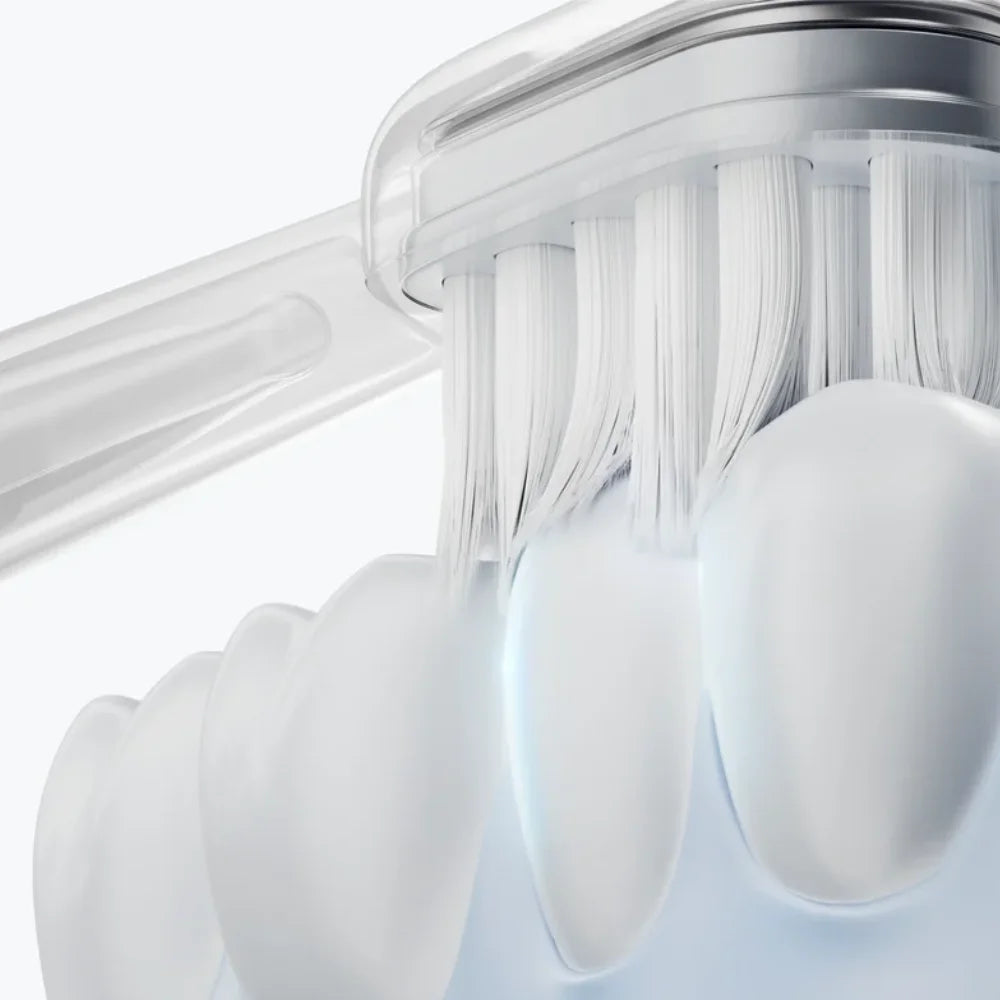 Reisonic Toothbrush H610, 66,000 VPM with 60° Oscillating Motion, Dentist-Recommended Bass Technique